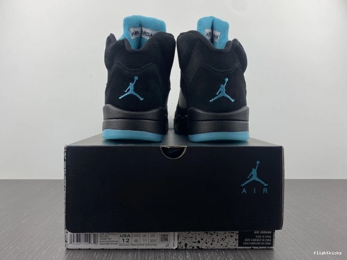 Jordan Air 5 DD0587-047 Aqua 0929
